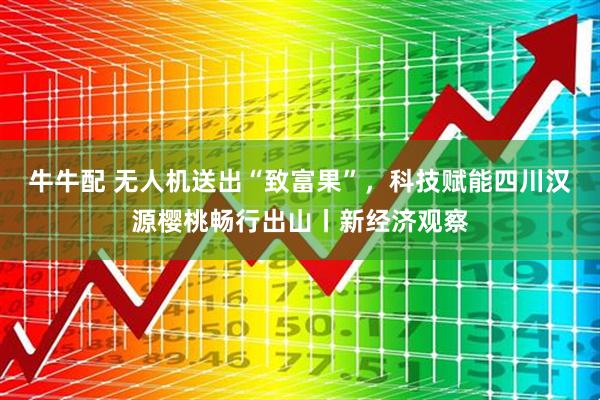 牛牛配 无人机送出“致富果”，科技赋能四川汉源樱桃畅行出山丨新经济观察